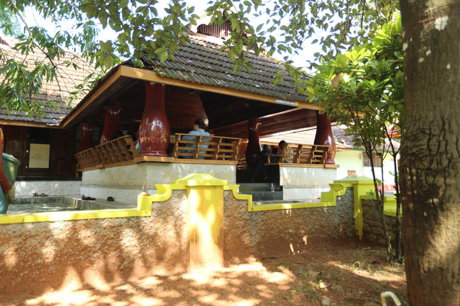 Sreedhareeyam Ayurvedic Eye Hospital & Research Centre