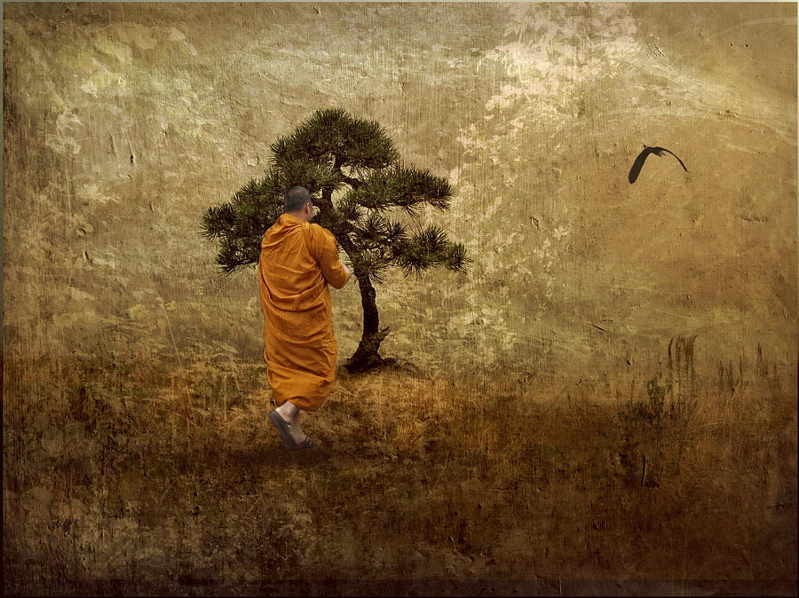 Dhamma Nagajjuna Vipassana Meditation Centre