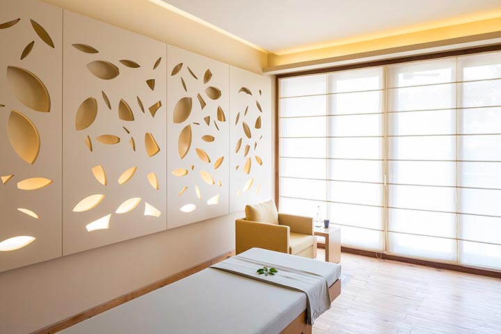 Vana Wellness Retreat