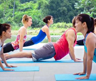 Museflower Yoga Retreat And Spa