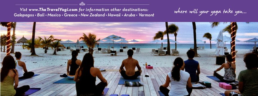 Travel Yogi Cente