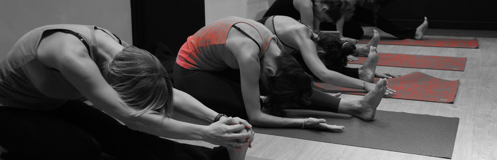 Big Apple Yoga Sudio