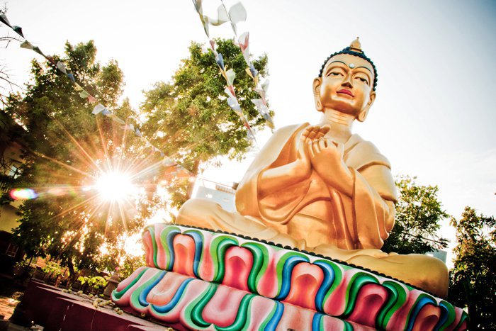 Root Institute For Wisdom Culture