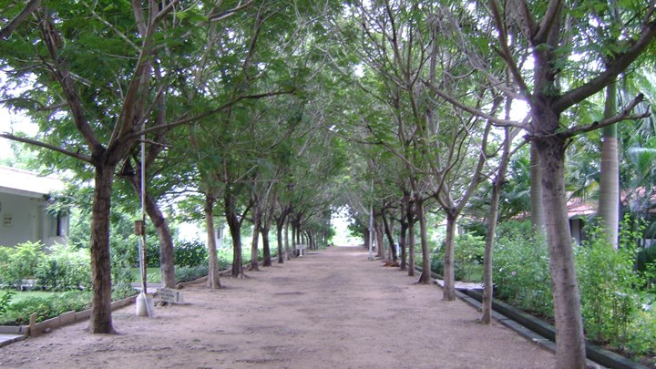Dhamma Setu Vipassana Meditation Centre 
