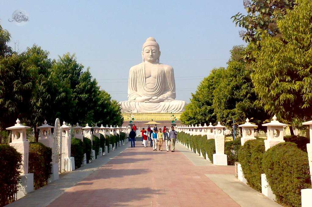 Dhamma Ganga Vipassana Meditation Center 