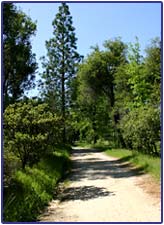 Vipassana Meditation Center North Fork