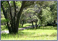 Vipassana Meditation Center North Fork