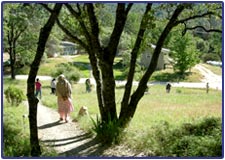 Vipassana Meditation Center United States