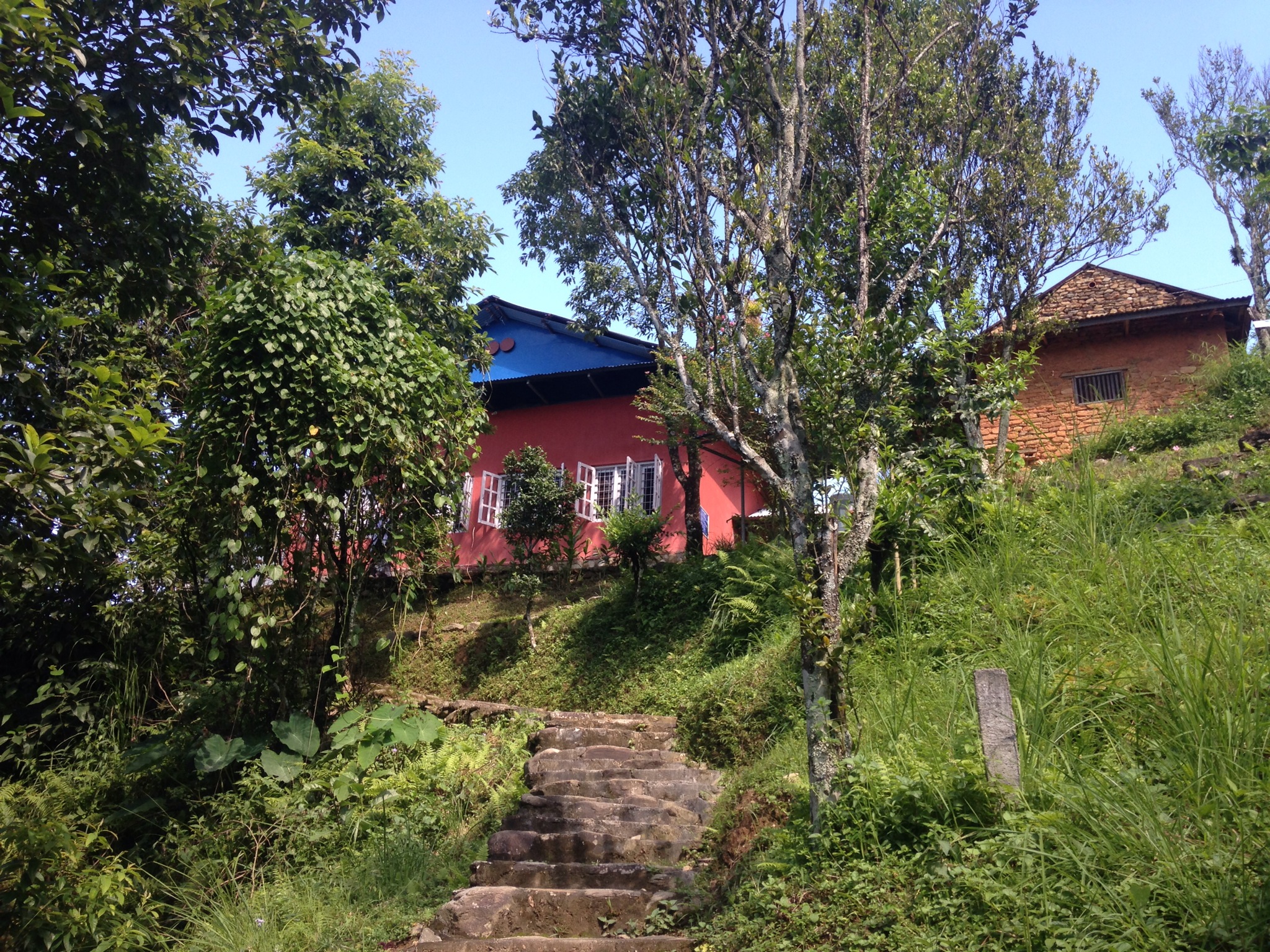  Nepal