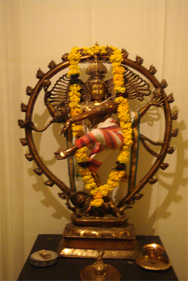 Sivananda Yoga Vedanta Nataraja Centre New Delhi