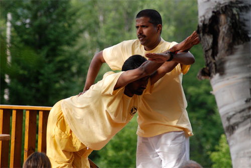 Sivananda Yoga Vedanta Nataraja Centre 