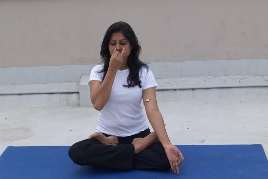Yogamrita Yoga Institute