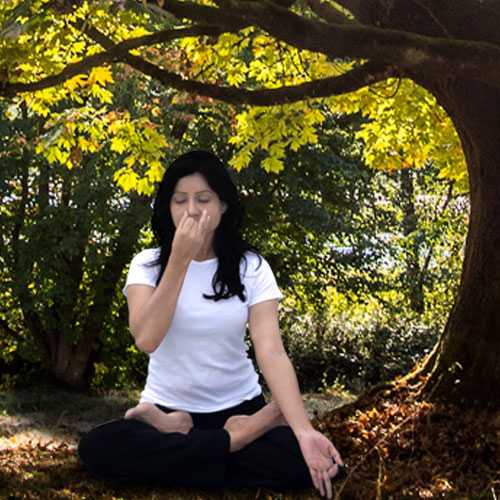 Yogamrita Yoga Institute Bangladesh
