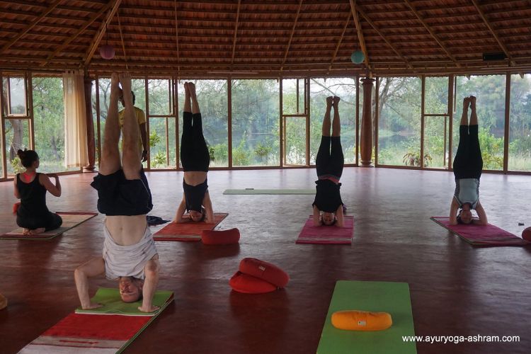 AyurYoga Eco Ashram