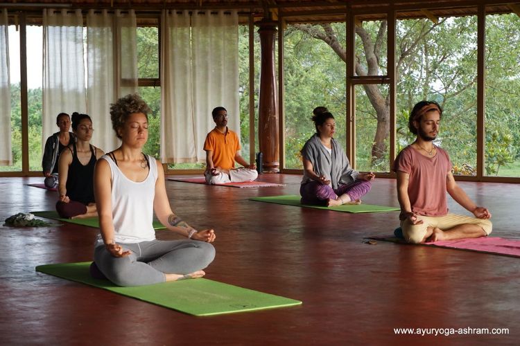 AyurYoga Eco Ashram 
