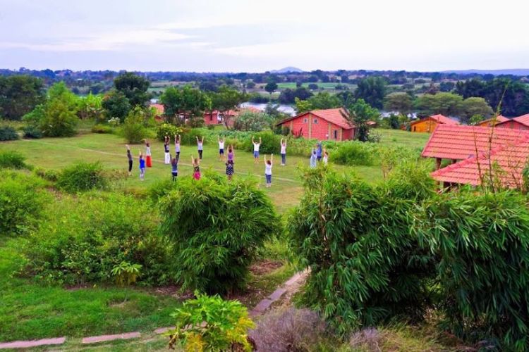 AyurYoga Eco Ashram 