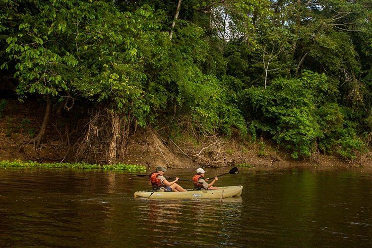 Jungle Experiences
