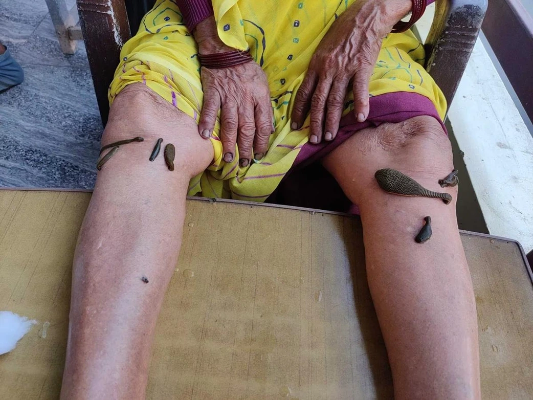 Gangotri Ayurveda Panchkarma & Wellness Centre 