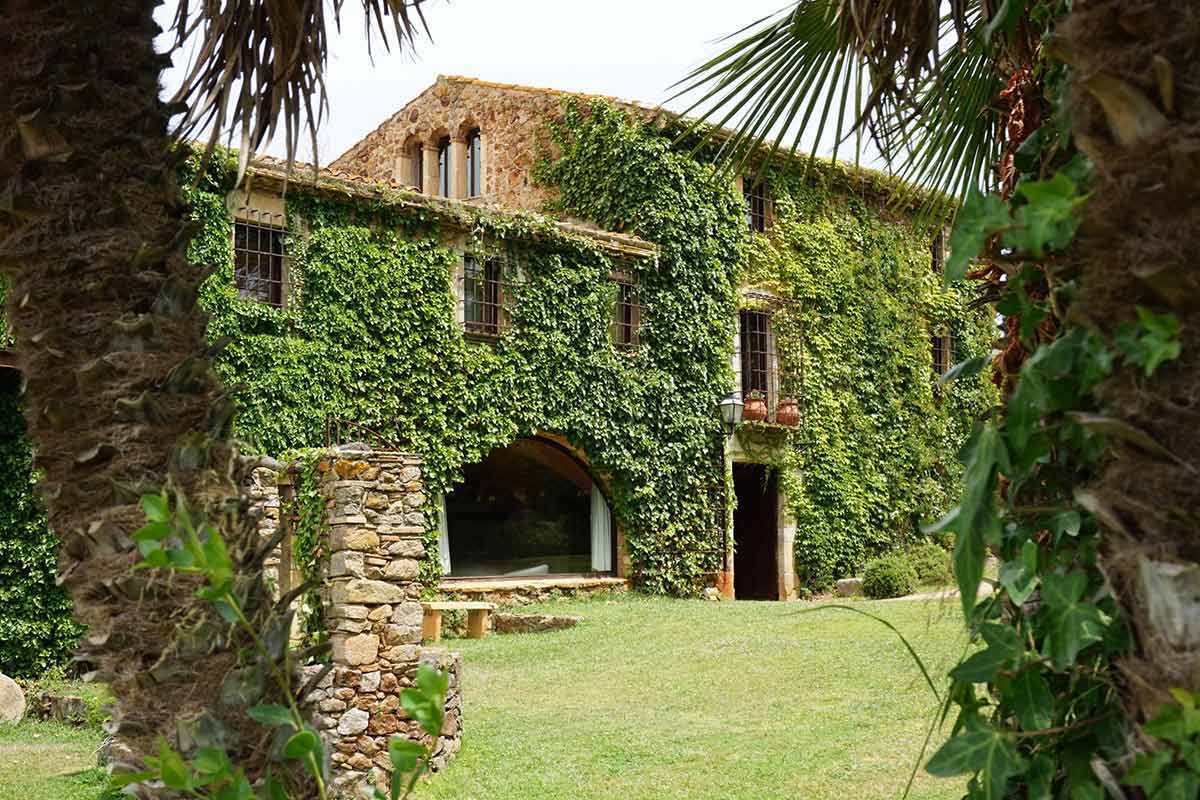 avalon holistic ayahuasca retreats (2)1727164298.jpg