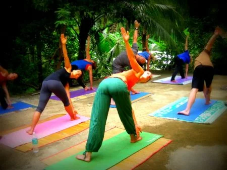 aranya yoga ashram (14)1744708662.webp