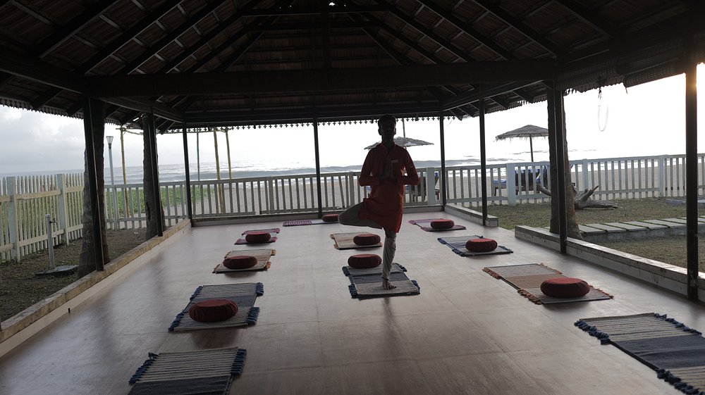 veda5 ayurveda wellness kerala (23)1744977352.jpg