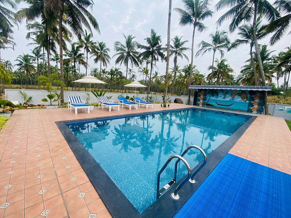 veda5 ayurveda wellness kerala (4)1744977349.jpg