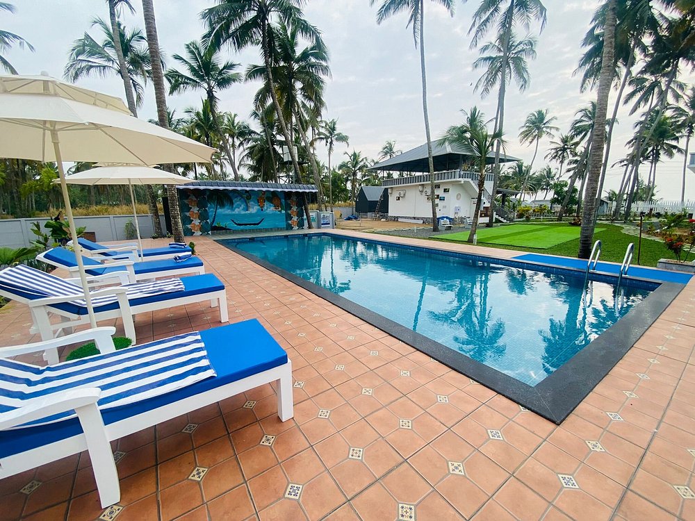 veda5 ayurveda wellness kerala (5)1744977349.jpg