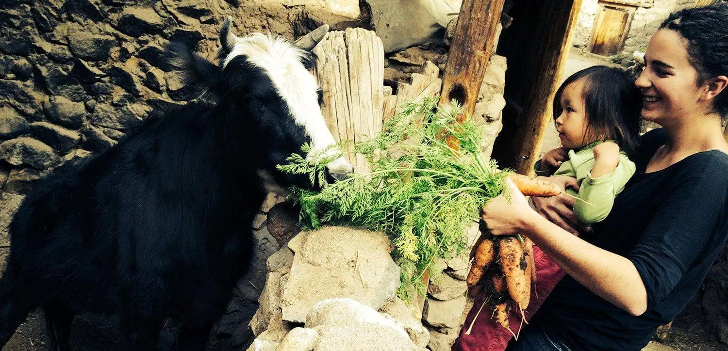 nimmu house ladakh (20)1746523731.webp