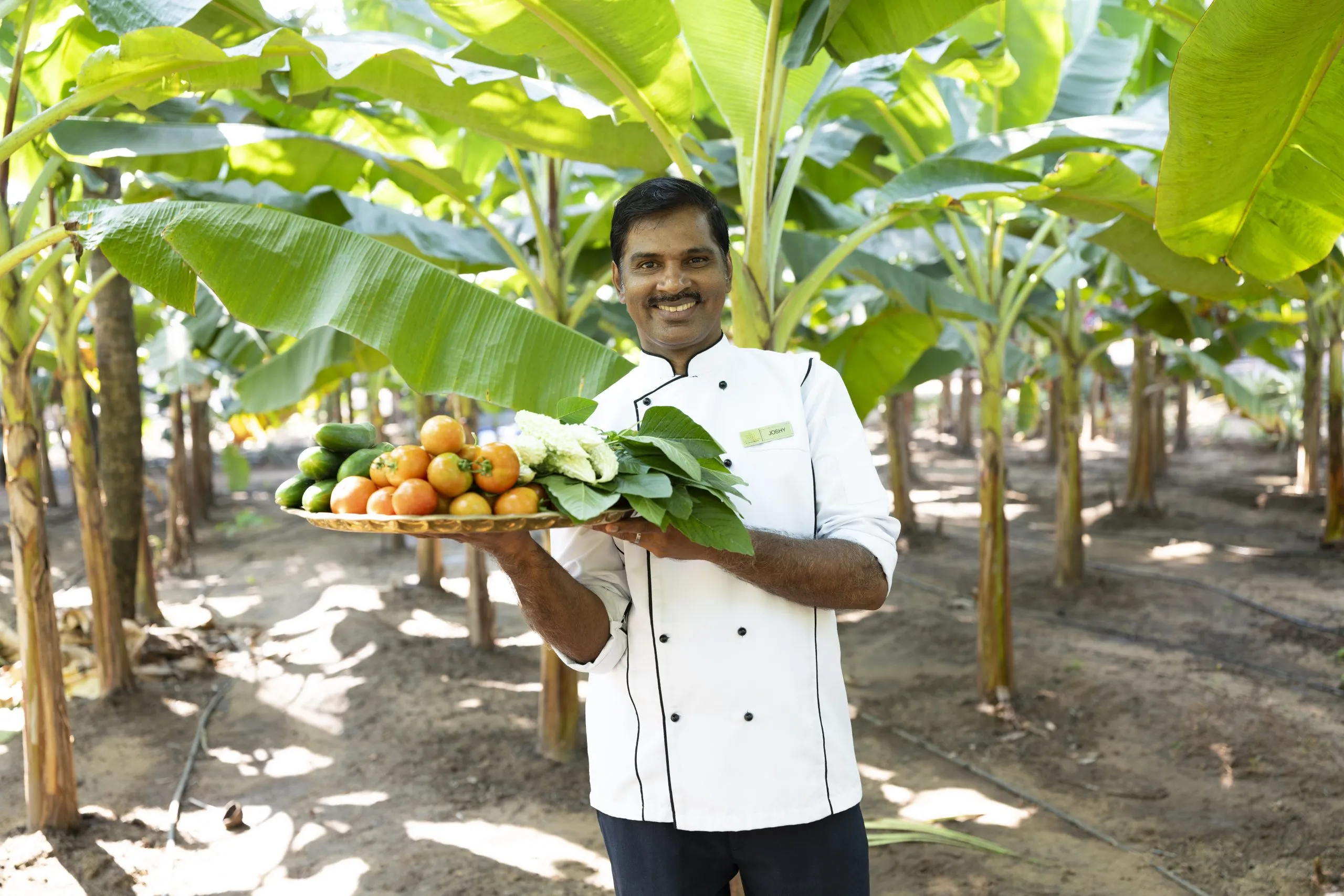 the nattika beach ayurveda resort (13)1753345361.webp