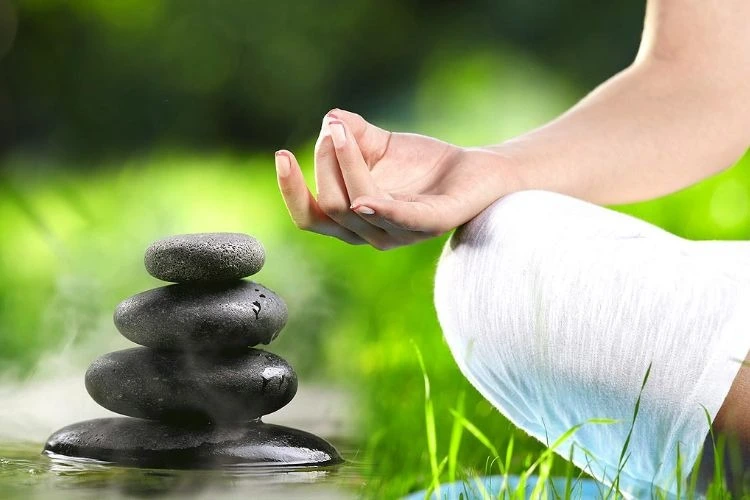 namaste ayurvedic wellness centre241761572495.webp