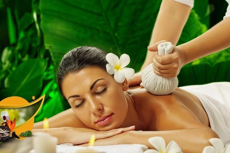 namaste ayurvedic wellness centre251761572496.webp