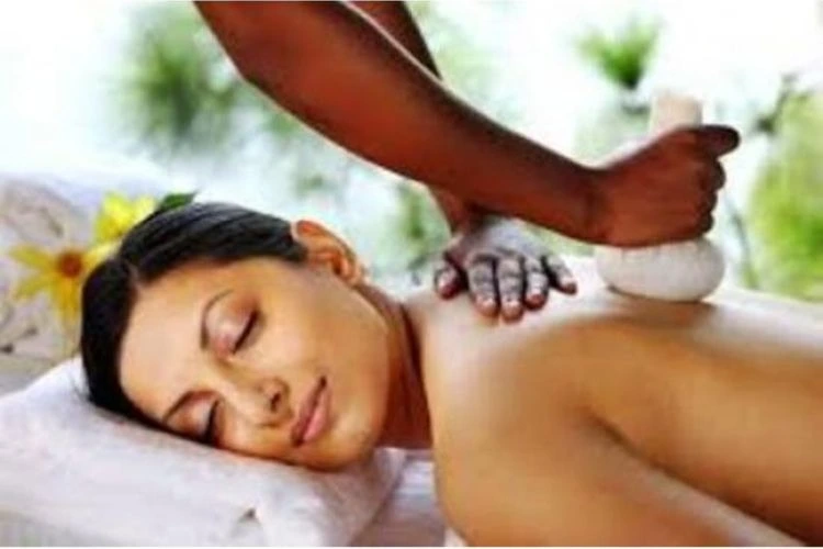 namaste ayurvedic wellness centre281761572496.webp