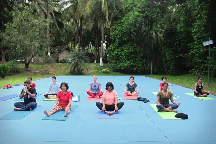 kairali the ayurvedic healing village kerala (5) (1)1775131345.webp