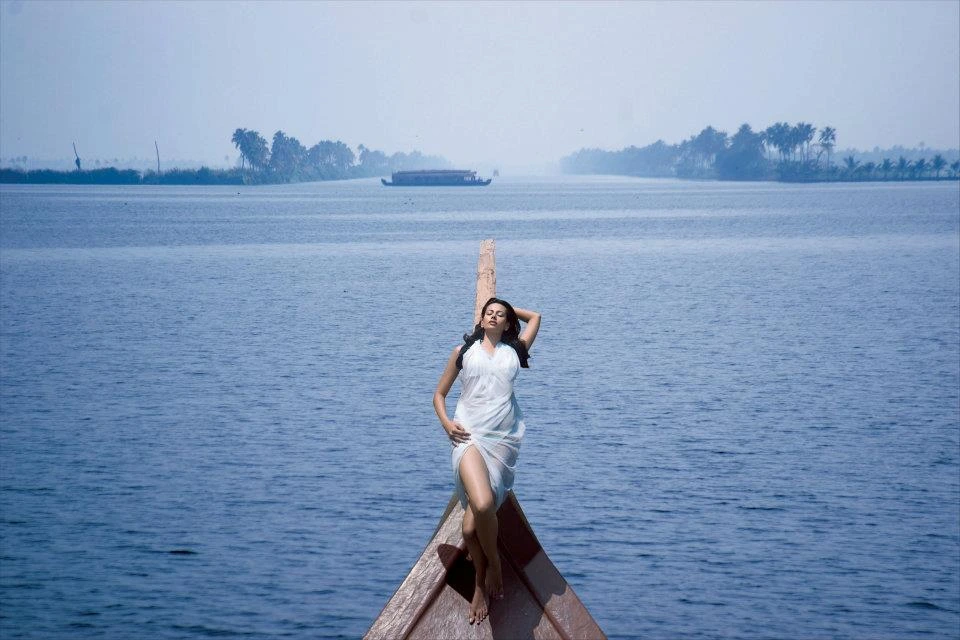 carnoustie ayurveda & wellness resort141779535223.webp