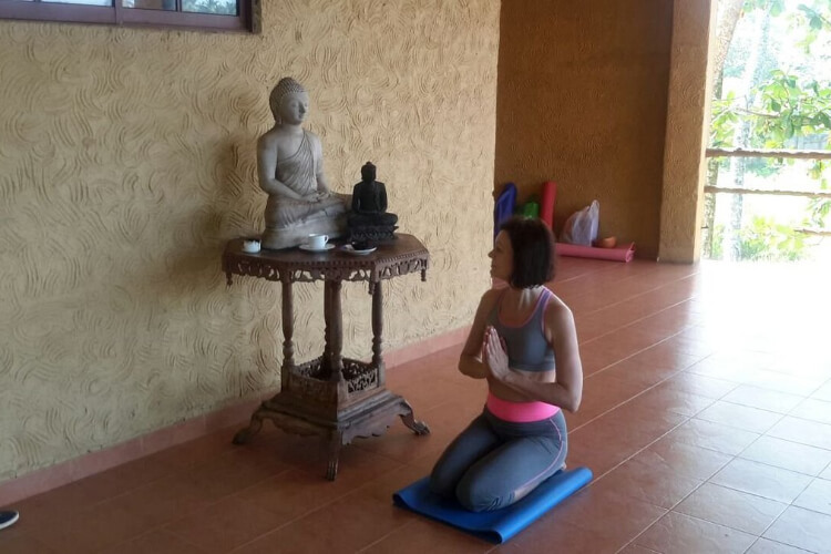 laluna ayurveda retreat21683020255.jpg