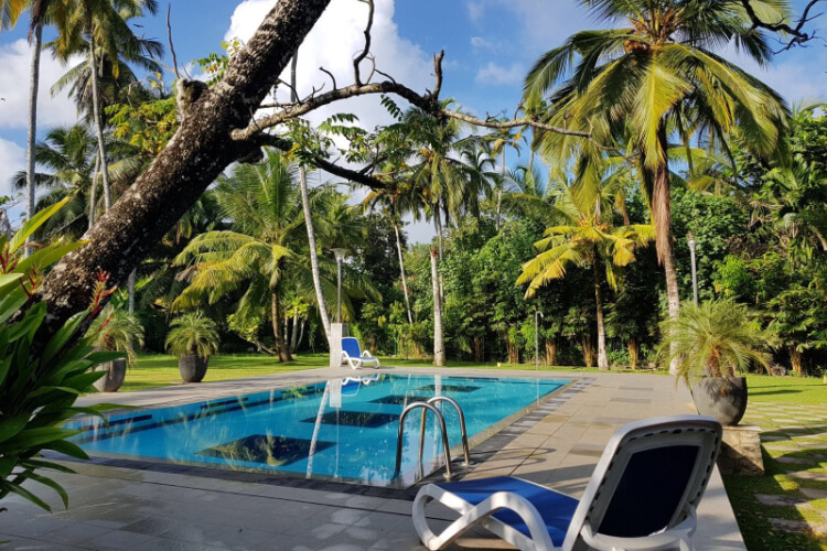 villa velmarie and ayurveda resort391683014889.jpg