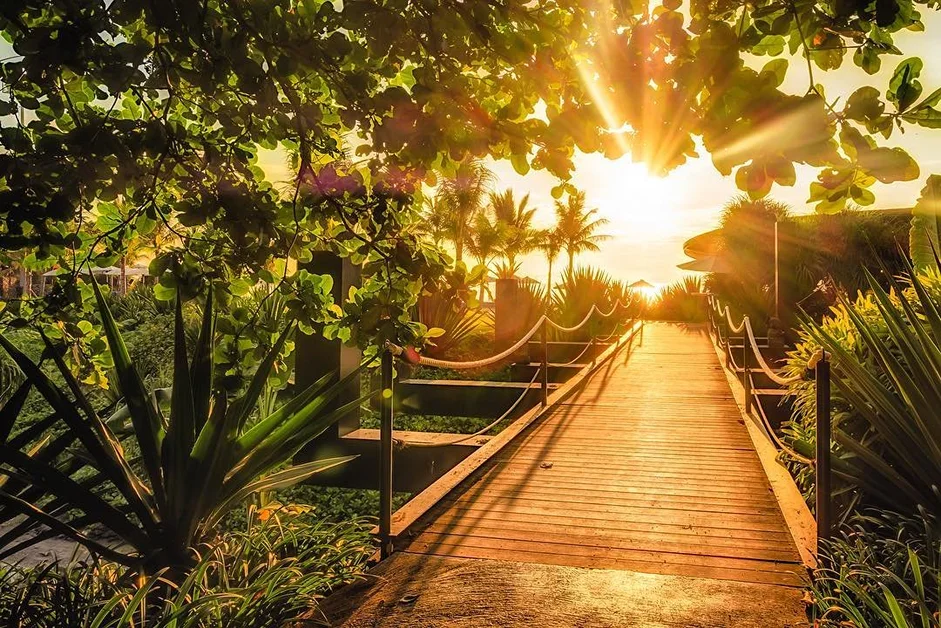 7 Days Yoga Ayurveda Retreat in Bali by Sattva Yoga Bali5.webp