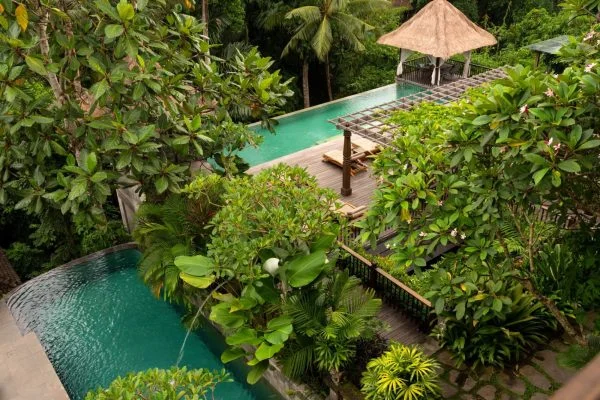 3 Day Pampering Wellness Meditation and Ayurveda Holiday in Ubud Bali by Adiwana Resort Jembawan9.webp