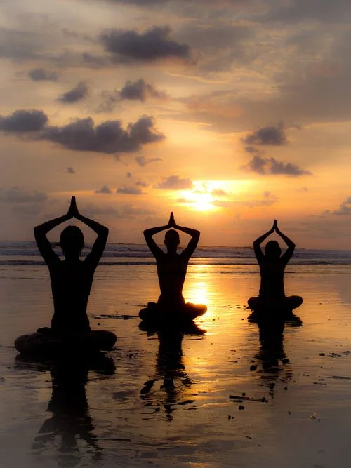 6 Day Raw Food and Yoga Holiday in Ubud Bali by Art of Life Retreats12.webp