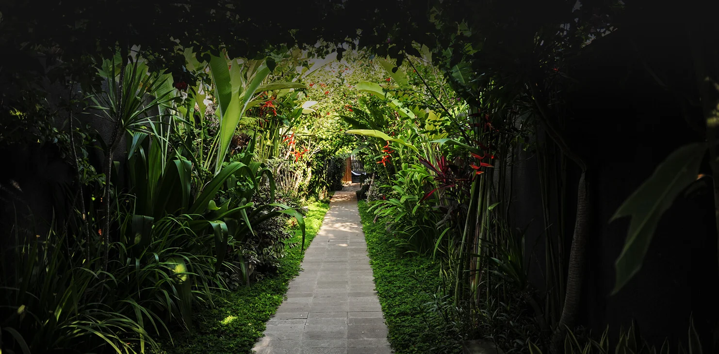 6 Days Ayurveda and Yoga 30-Hour Continuing Education Program in Ubud Bali by School of Sacred Arts21.webp