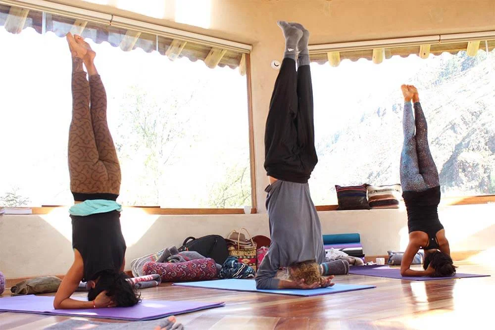 6 Days Ayurveda and Yoga 30-Hour Continuing Education Program in Ubud Bali by School of Sacred Arts8.webp
