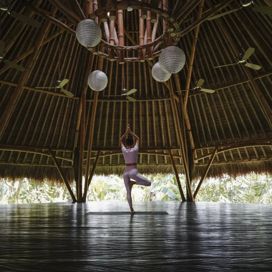 4 Day Detox Cleanse Yoga Retreat in Ubud Bali by Blue Karma Dijiwal Ubud16.webp