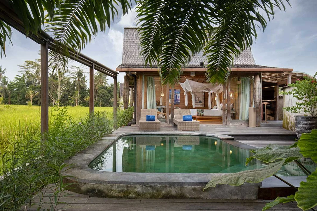 4 Day Detox Cleanse Yoga Retreat in Ubud Bali by Blue Karma Dijiwal Ubud3.webp