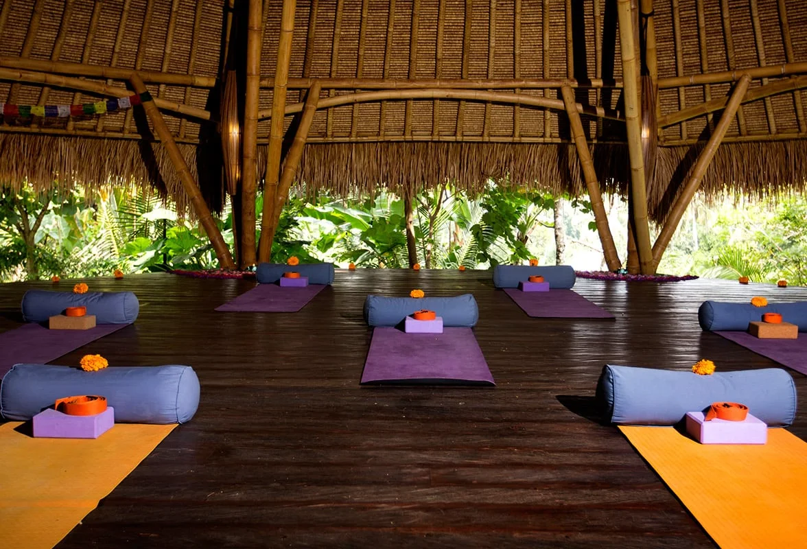 4 Day Detox Cleanse Yoga Retreat in Ubud Bali by Blue Karma Dijiwal Ubud5.webp