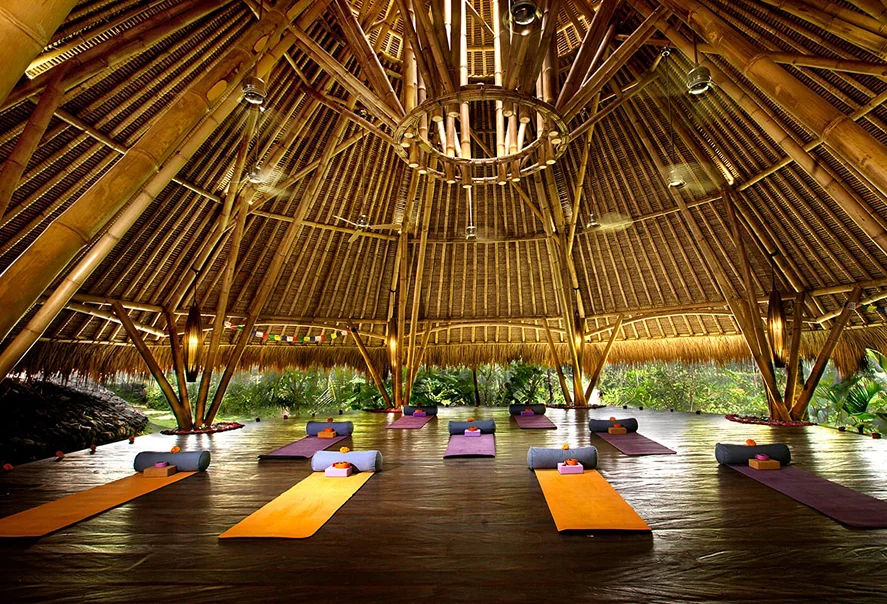 4 Day Detox Cleanse Yoga Retreat in Ubud Bali by Blue Karma Dijiwal Ubud7.webp