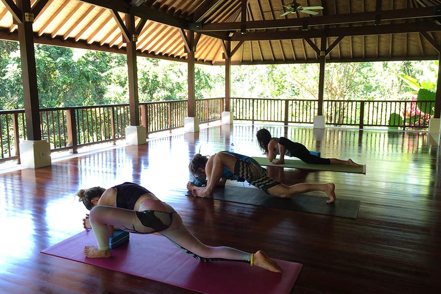 3 Days Heal at Being Sattvaa Retreat In Bali by BeingSattvaa Vegetarian Retreat Villa4.webp