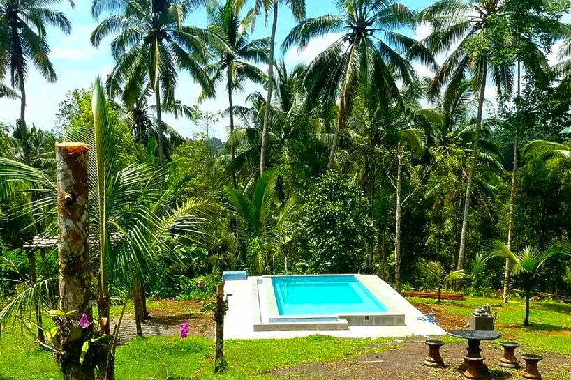 2 Day Spa Journey with Yoga Meditation and Village Culture Retreat in Tabanan Bali by Bali Green Retreat7.webp