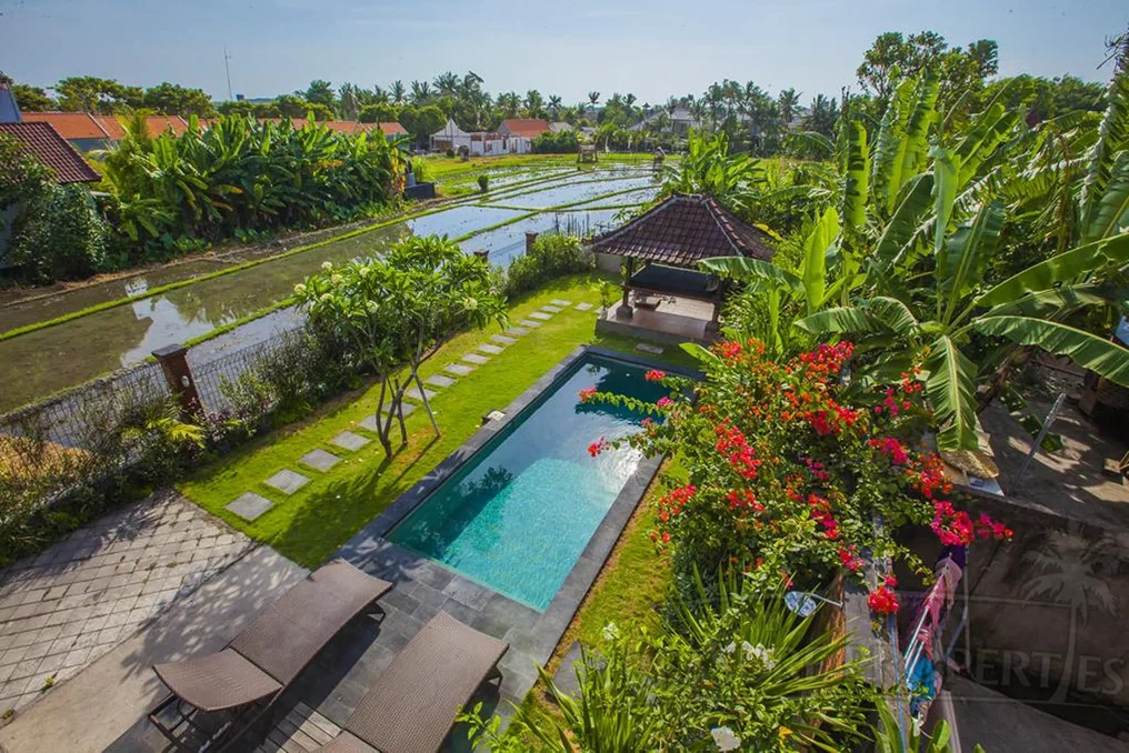 8 Days Surf Yoga Retreat in Bali by Mind Body Soul – Surf Bali8.webp