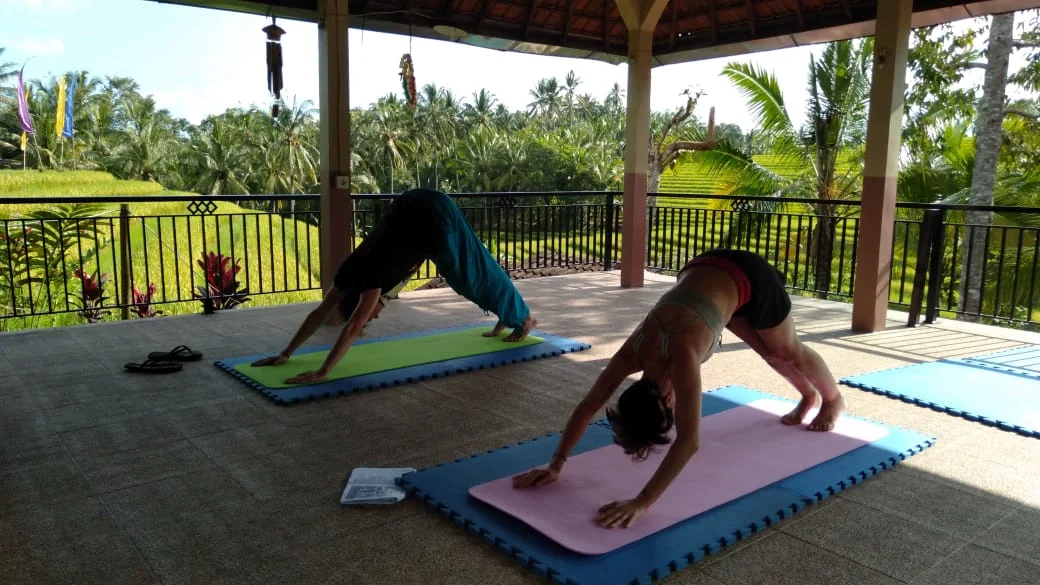 3 Day Meditation and Balinese Surya Yoga Retreat in Tabanan Bali by Balitrees Retreats9.webp