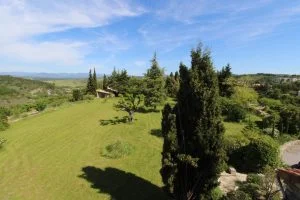 4 Day Balinese Meditation and Yoga Retreat in Canggu Bali by Baliana Yoga6.webp